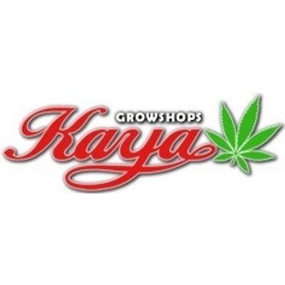 kaya murcia|Growshop .